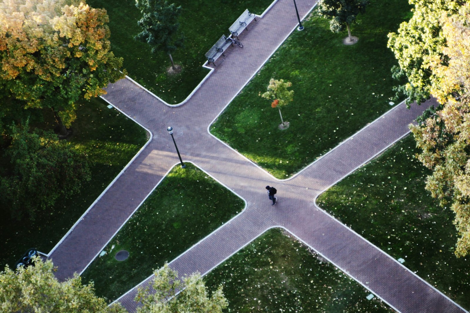 aerial view of green trees and white car